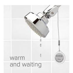Evolve Shower Head