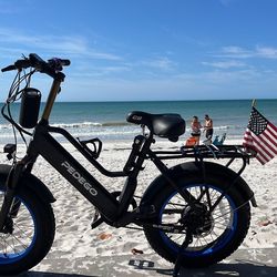 Pedego Element E-bike