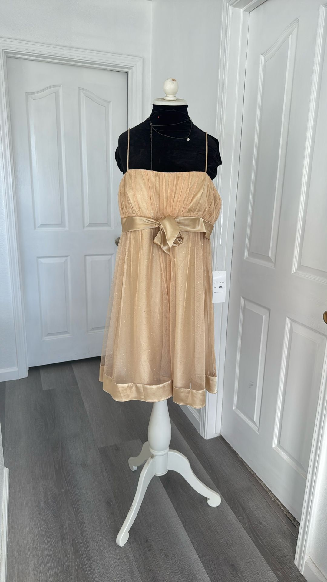 Women’s Dress Size 2XL