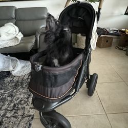 Pet Gear Dog Stroller