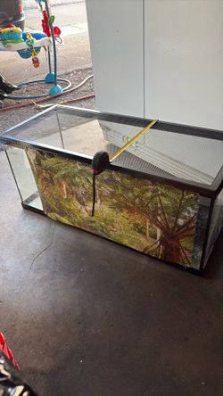 Terrarium