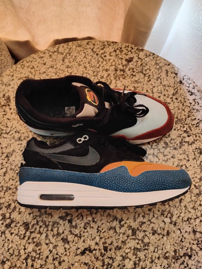 Nike Air Max 1 (De' Aaron Fox)