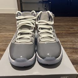 Jordan 11s Cool Grey 
