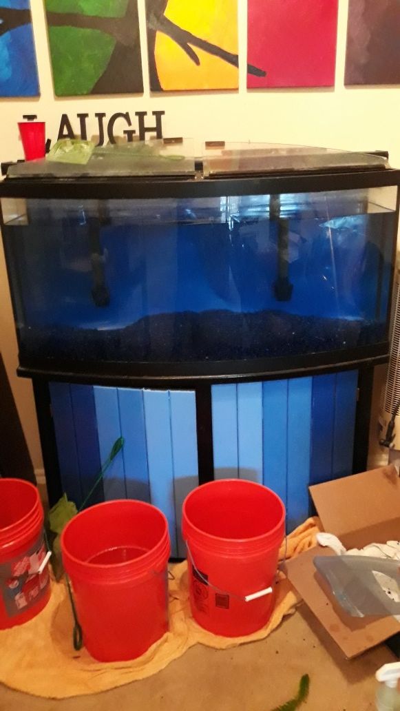 72 gallon Bow Front Aquarium and everything you need.