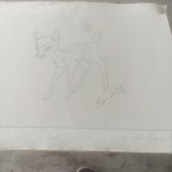 Bambi - Freehand Drawing 