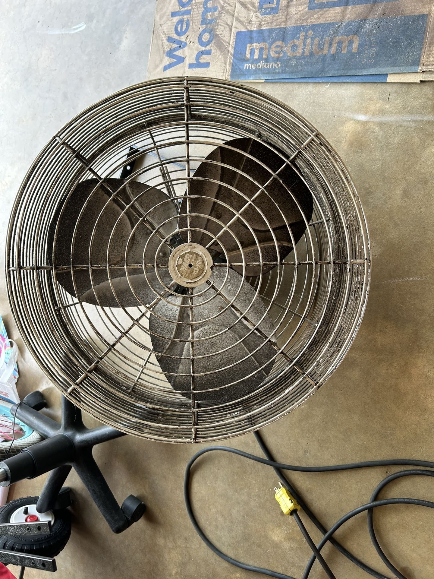 Schaefer Shop Fan