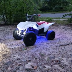 Custom 48v Razor Quad 500 (Electric)