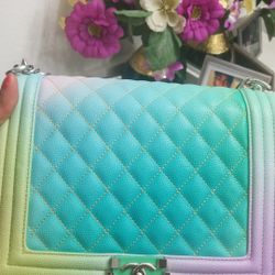 CC Leboy Rainbow Purse