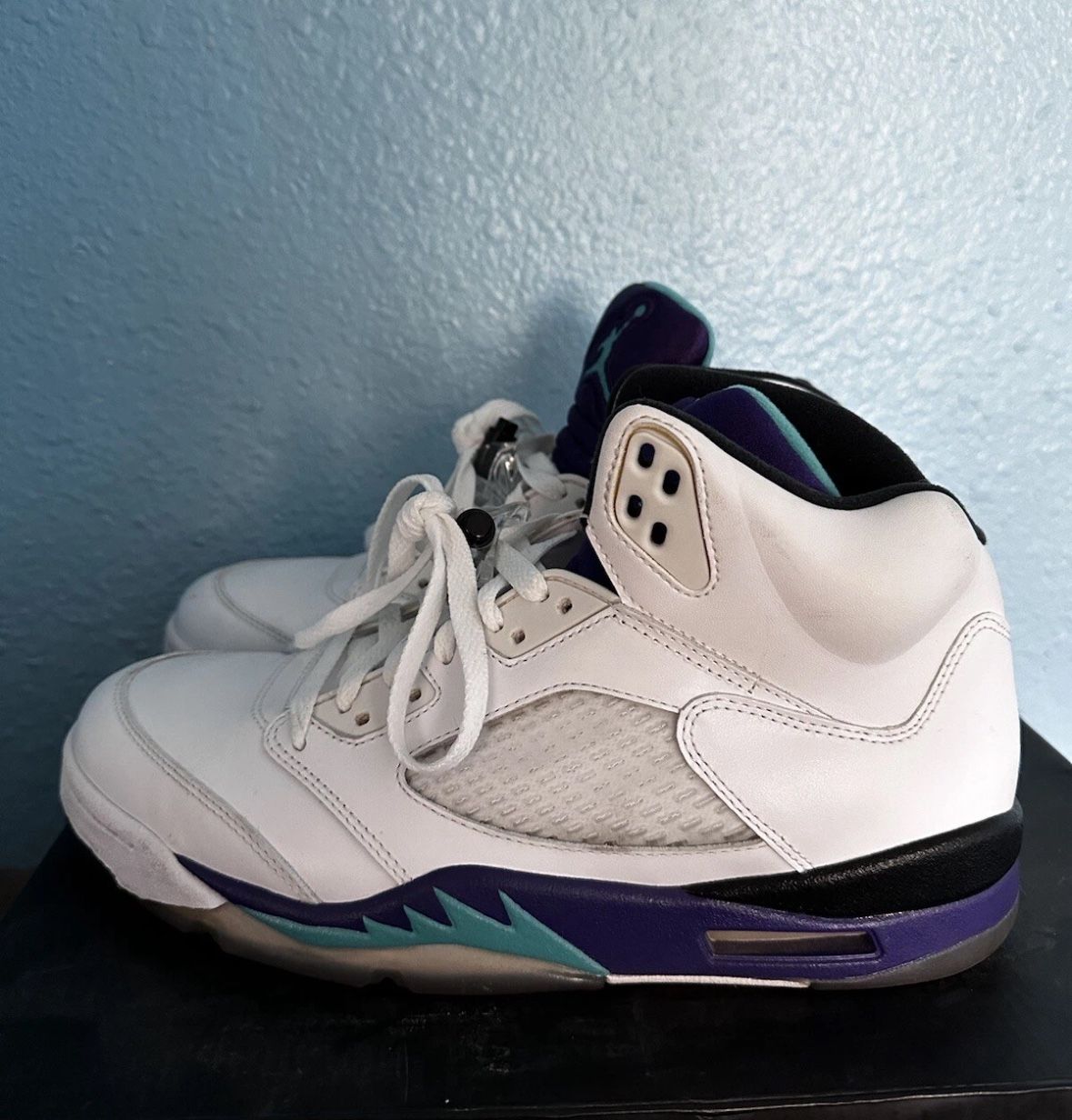 Jordan Grape 5s Size 9