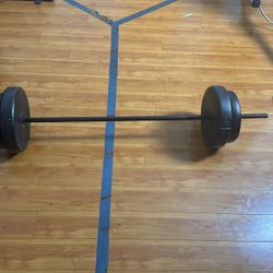 Barbell Set – Includes Two 25lb & Two 10lb Plates (Used, Great Condition)
