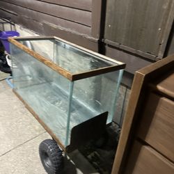 65 Gallon Tall Jumbo 