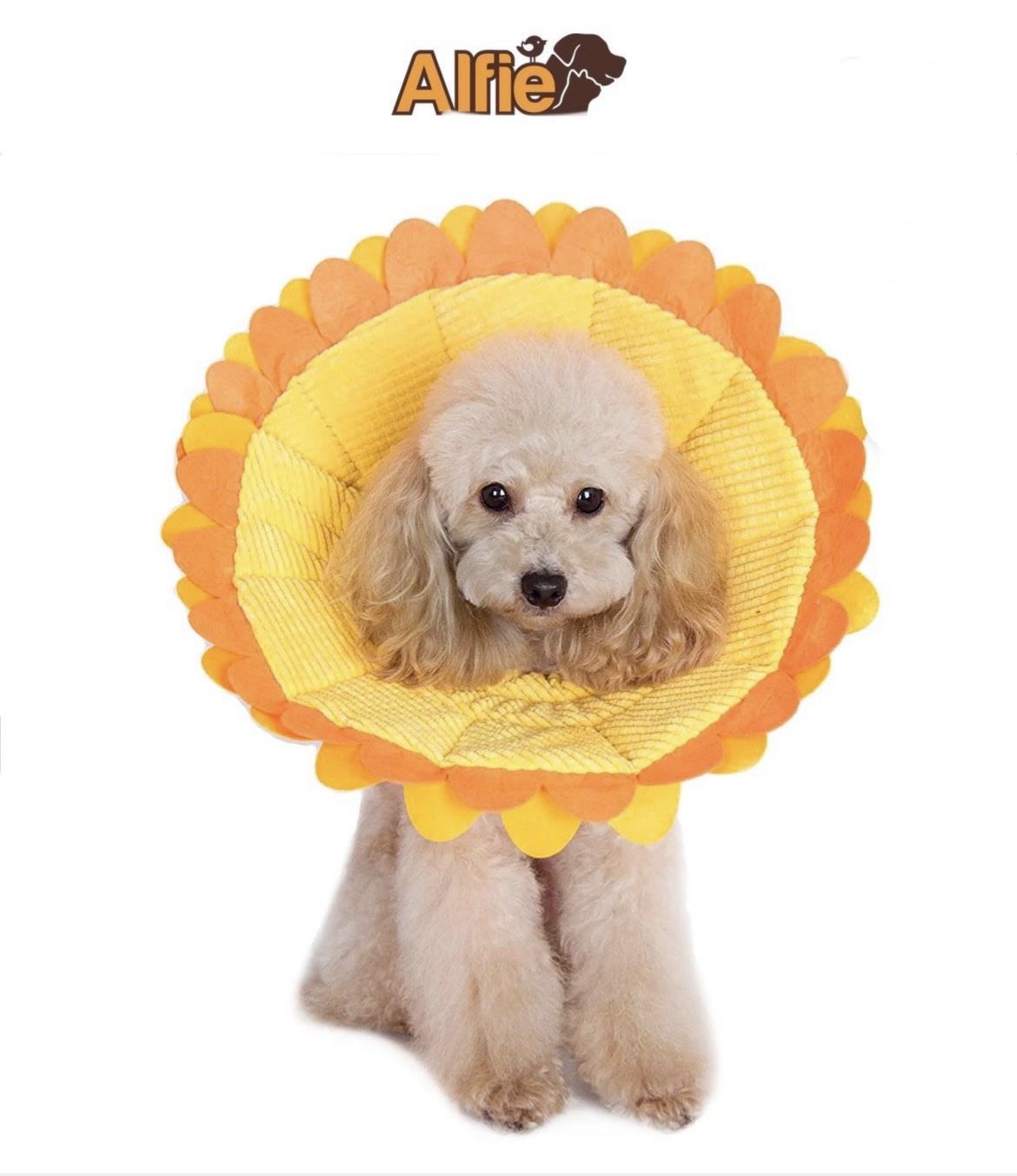 Alfie Pet Noah Recovery Collar Sizes L, XL, XXL Dog Sunflower Style• Can Be Used For Halloween