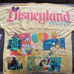 Disney Spirit Jersey 
