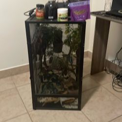 Chameleon cage little dirty 