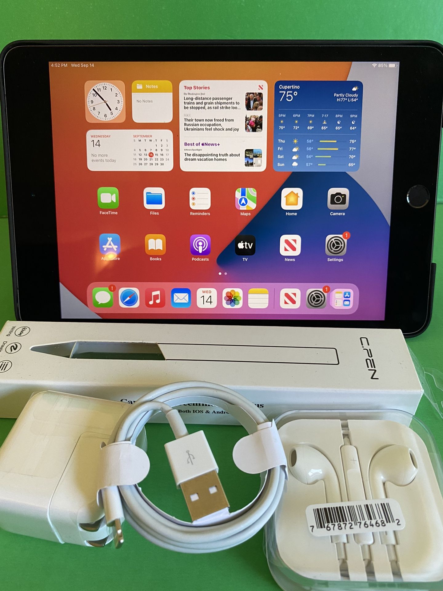 Apple IPad Mini 5/5th Generation ( Retina / Touch ID / IOS 15)Wifi 