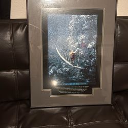 Motivational Framed Poster/picture 