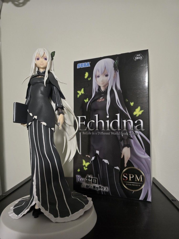 Echidna