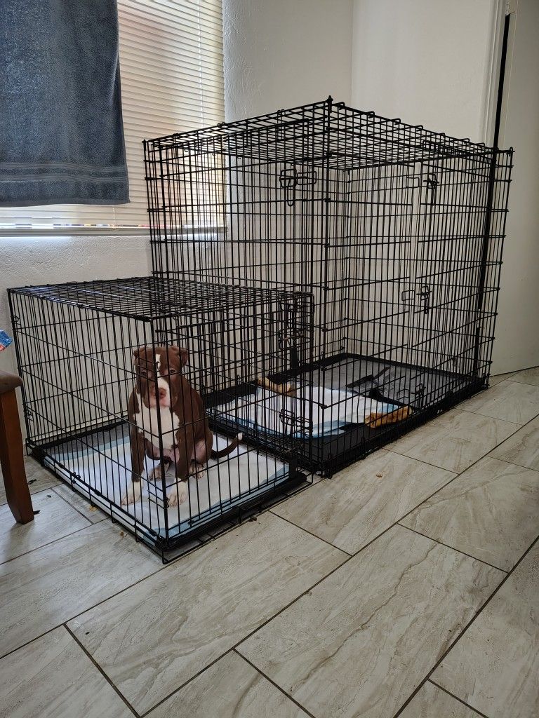 Dog Cage Dog Kennel