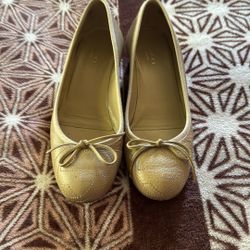 Zapatos Gucci