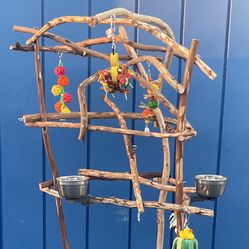 African Grey / Amazon Parrot Perch Tree… Artsy Rustic Look - Looks Great In The House And Play Time For Mr Birdee !! 👍🏼 Breeder Direct Low Price!!