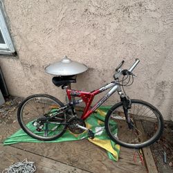 Mongoose and Trek Bikes