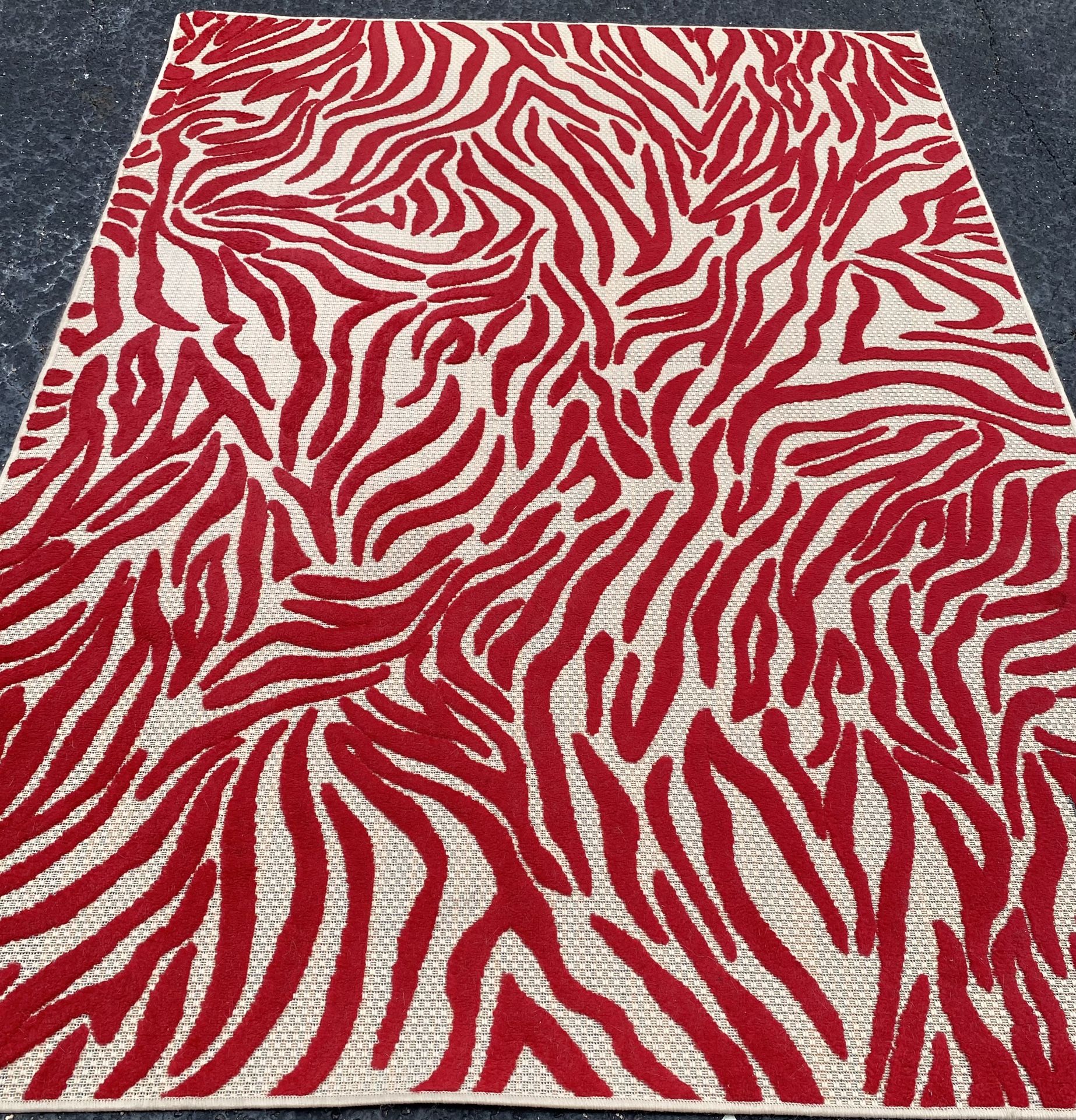 Indoor/ Outdoor Rug