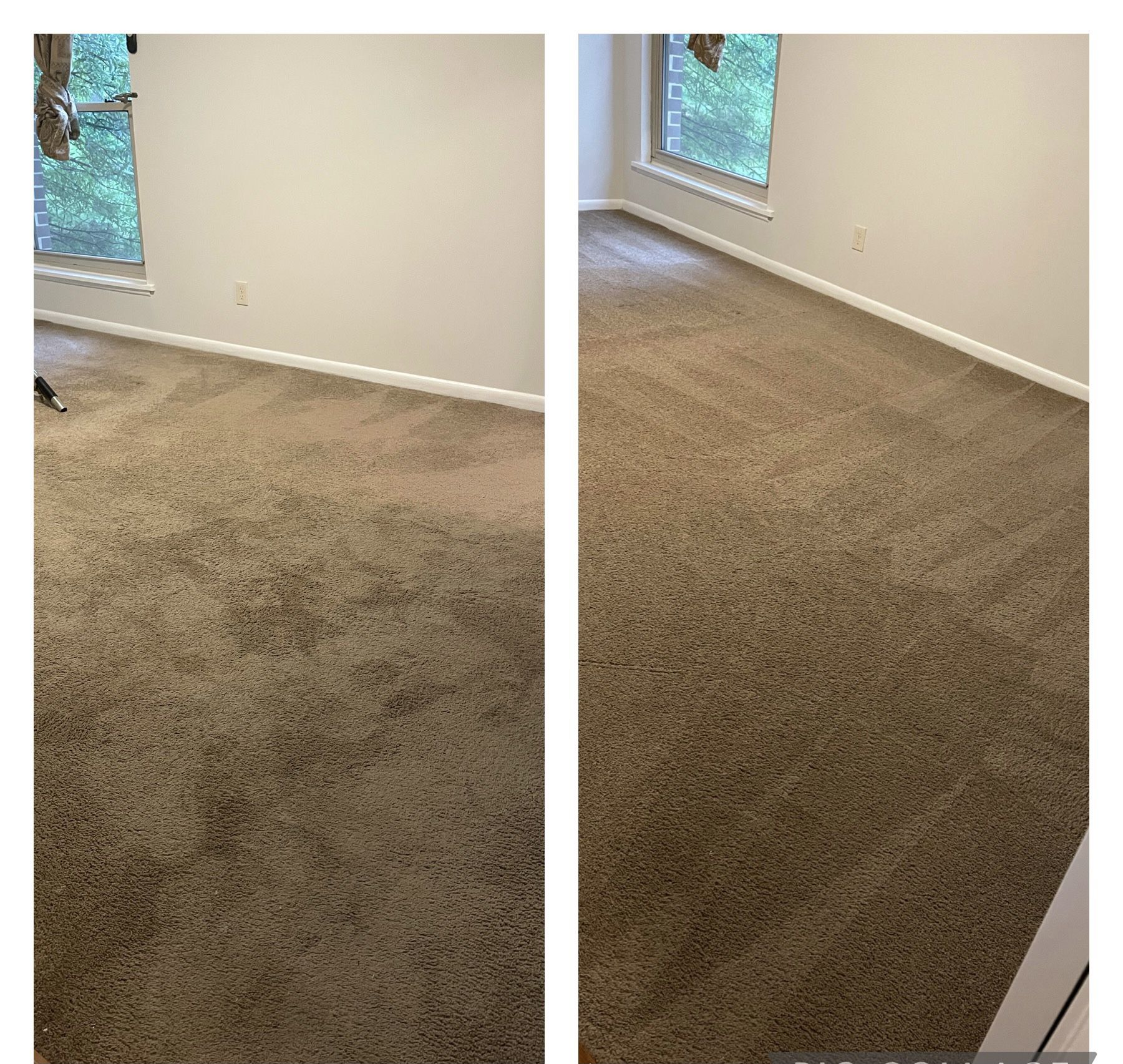 Any Type  Of Carpet Cleaning  Limpieza Carpeta 