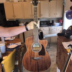 Ibanez Acoustic/Electric With Soft Case And Strap