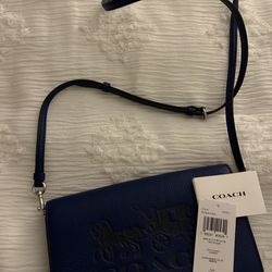 Navy blue Coach Clutch/purse