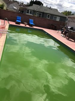 Got a Green Pool??