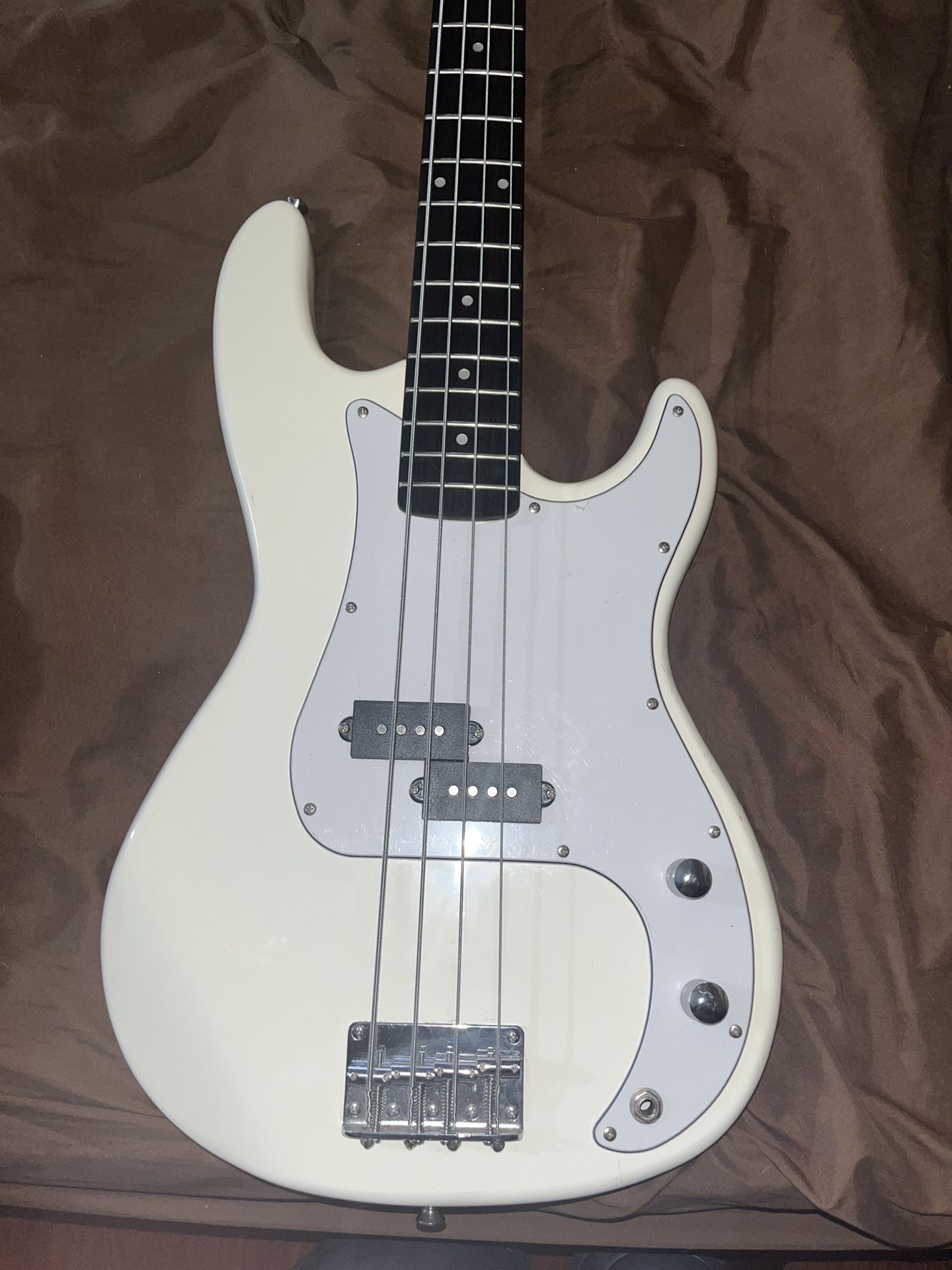 Electric Bass Guitar