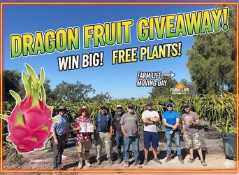 Dragon Fruit And Cuttings