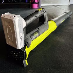 SUNJOE Leaf Blower with Battery & Charger