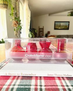 Brand New Crate And Barrel Bud Vase Set Of 4