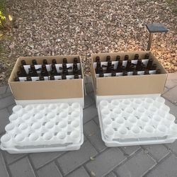 Fast rack Amber Beer  12 Oz Bottles Total 48