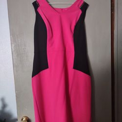 Pink Dress Size 16 Visibly New