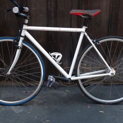 Single Speed, Custom Bike 