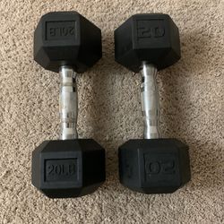 Dumbbells - Pair of 20s - Total 40 Pounds 