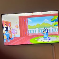 55 Inch 