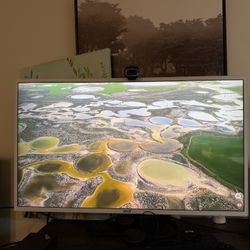 Acer EZ321Q – 31.5” Full HD IPS Monitor – 75Hz