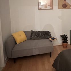 Small Couch/sofa  Love Seat