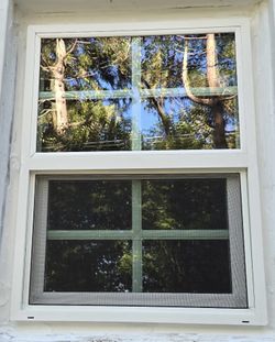 SH Window with Grids