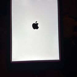 I Pad Mini 2 