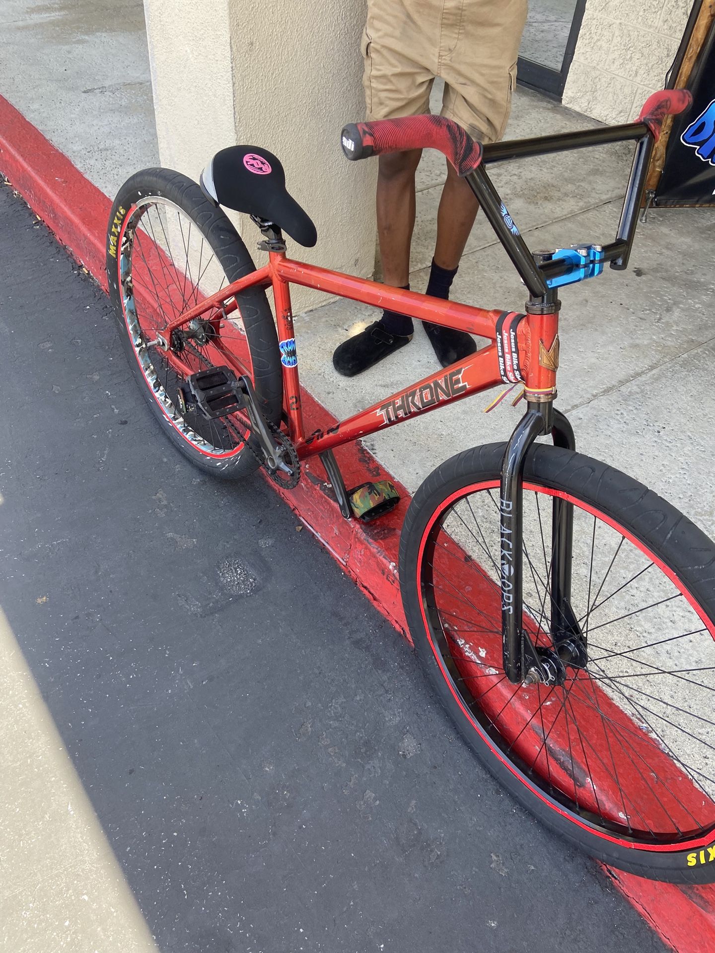 Throne 29er