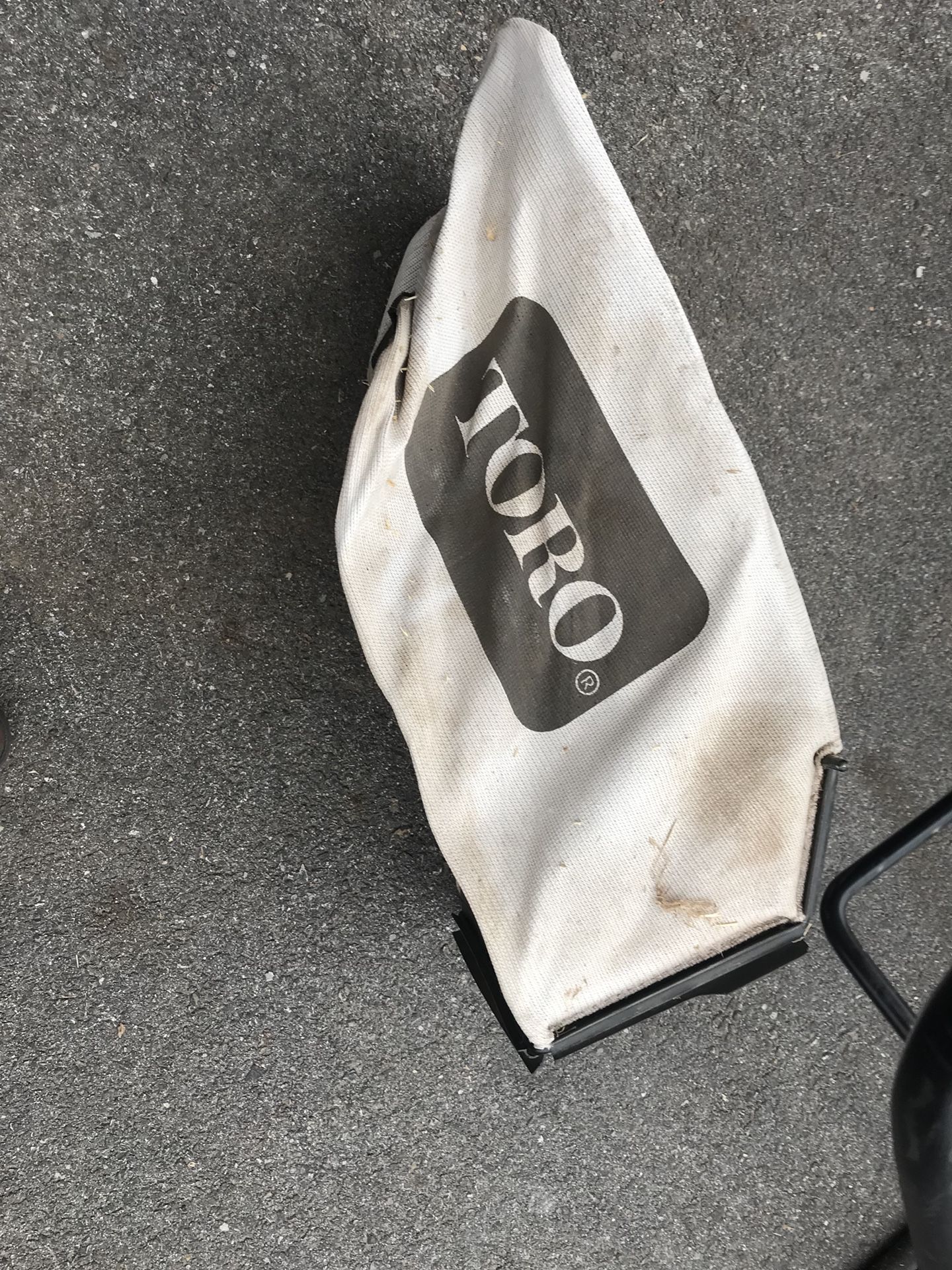 Toro