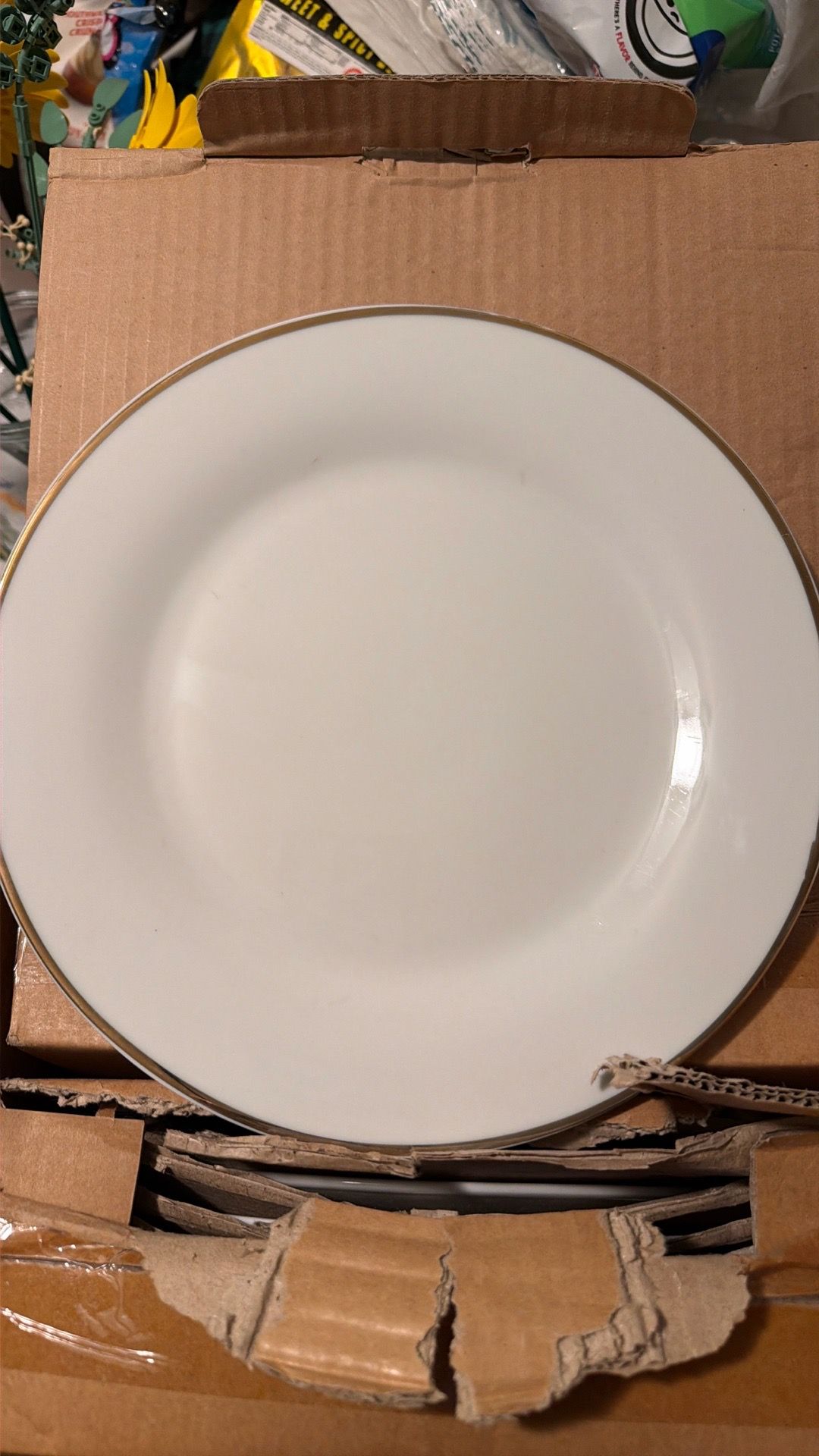 Dinner plates a set of 12 pieces