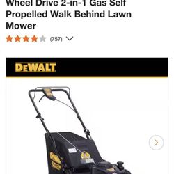 DEWALT 21 in. 150cc Briggs and Stratton 625ex Engine 