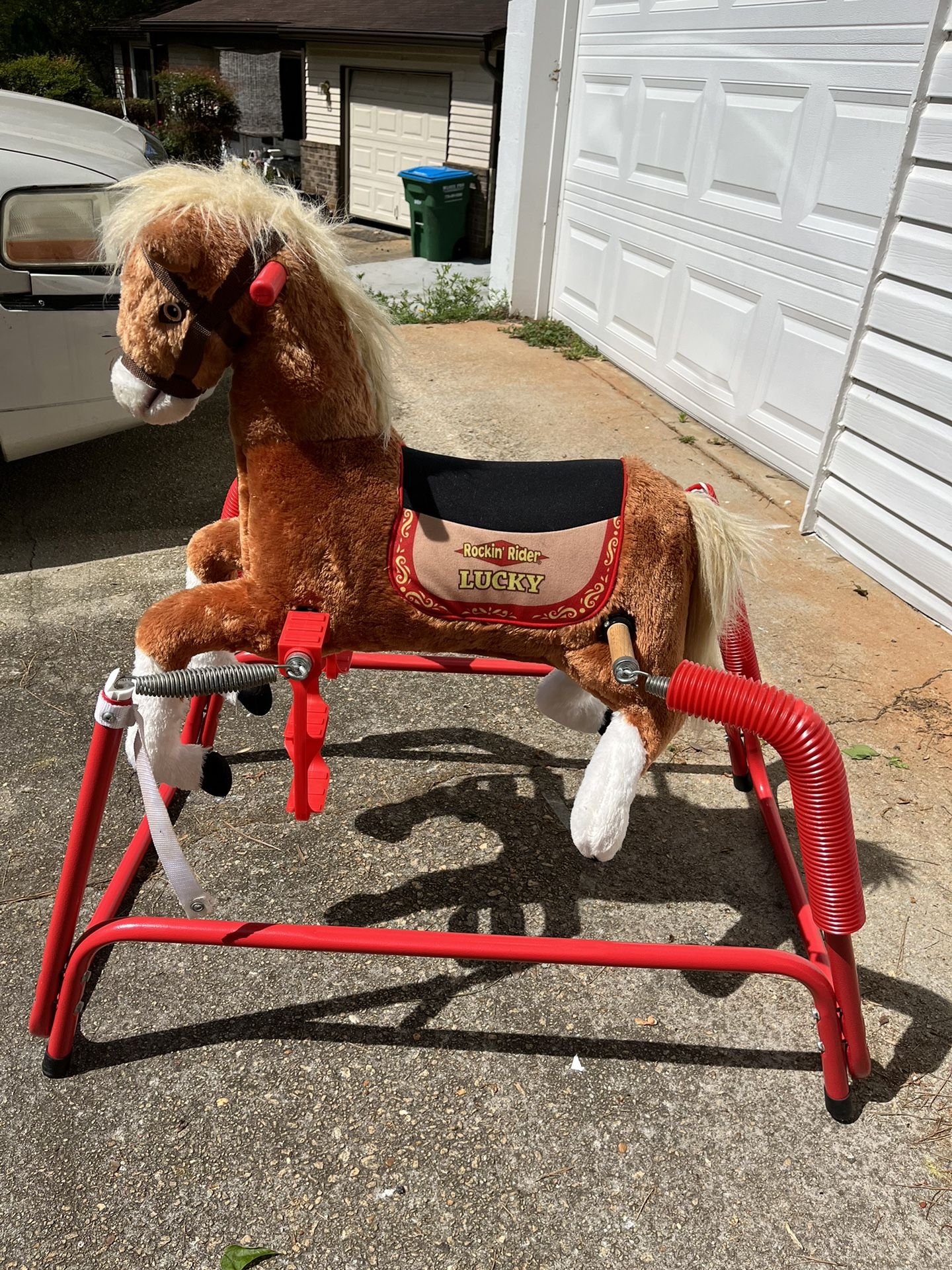 HORSE For Riding Kids