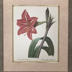 Flower Print Picture 