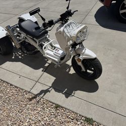 icebear maddog 150cc